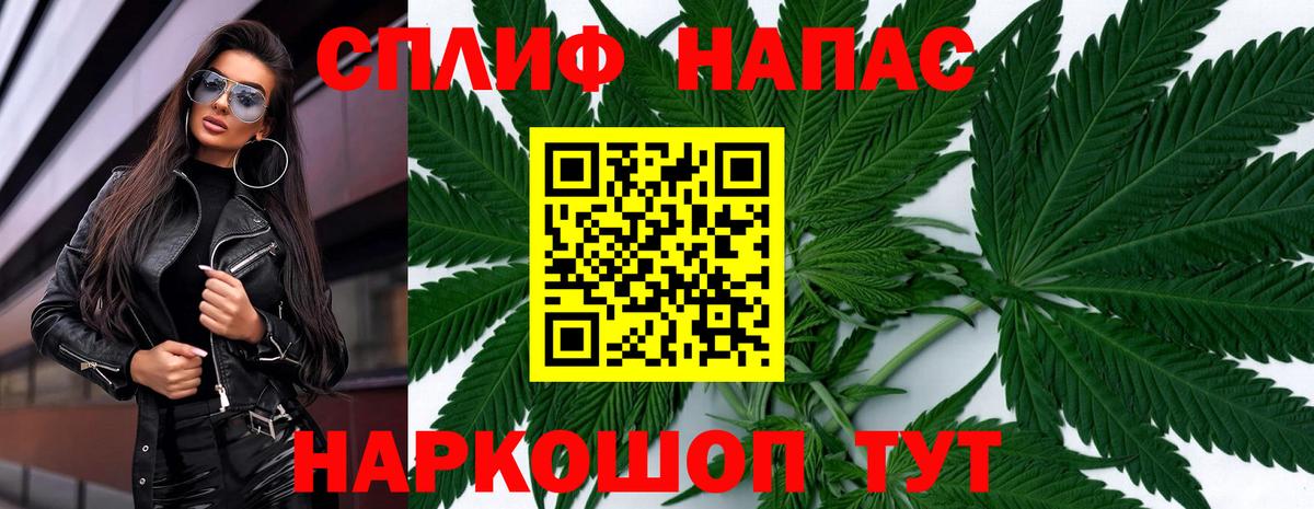 Бошки Шишки план Алексеевка